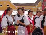 Libín - S, folklorní sdružení